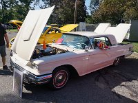 DSC07556