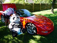 DSC07576