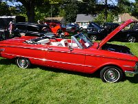 DSC07654