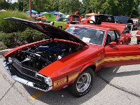 DSC07918