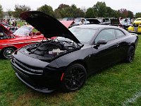 DSC03515