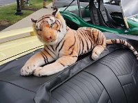 DSC09905