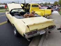 DSC09909