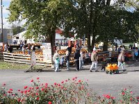DSC03951