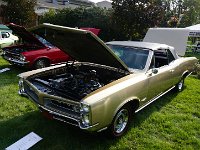 DSC00706