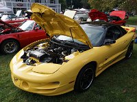 DSC00732