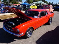DSC02991