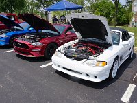 DSC05733