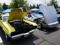 DSC05854