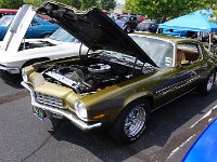 DSC05919
