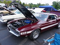 DSC05995