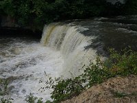 DSC06498