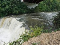 DSC06499
