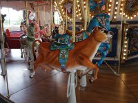 DSC06706