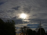 DSC01721